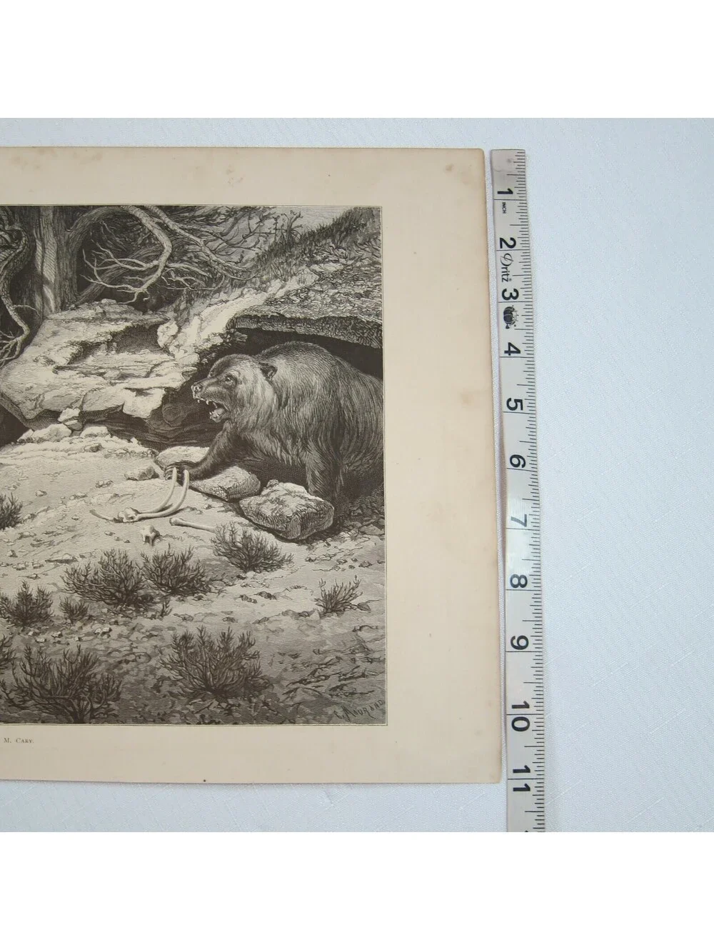 Antique 1874 Engraving Print A Bare Chance by W.M. Cary Aldine Western & Indian